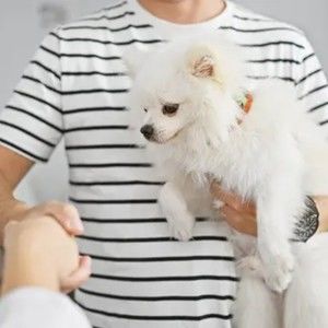 Meet your Posher, Josafa